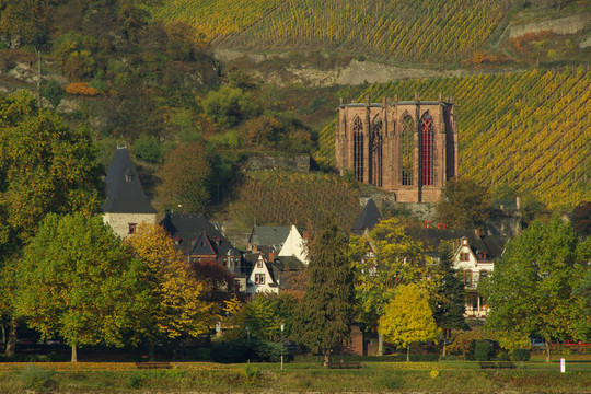 Bacharach Wernerkapelle 01