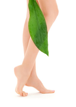 绿叶女腿
