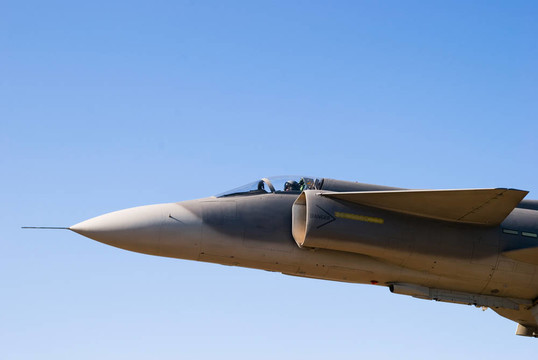 JAS 39鷹獅