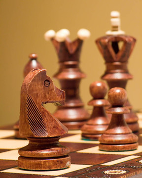 國際象棋的馬