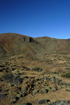 山