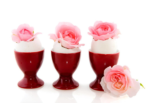 粉薔薇