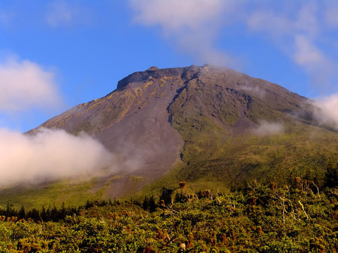 山