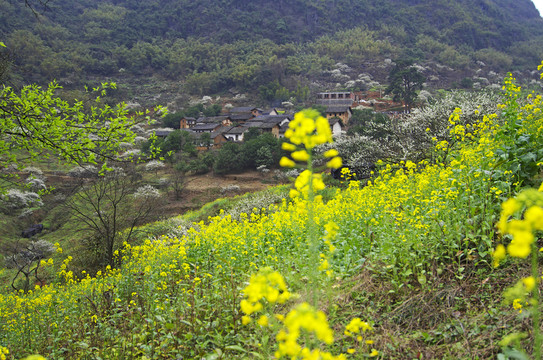 春暖花開