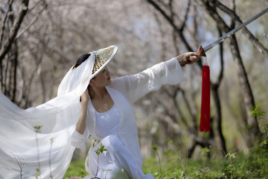 女俠