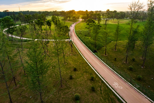 濕地公園