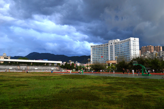 城市公園