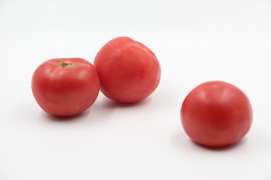 西紅柿