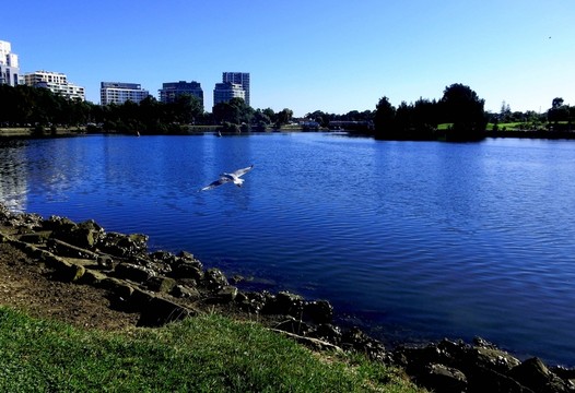 海灘 公園  旅游