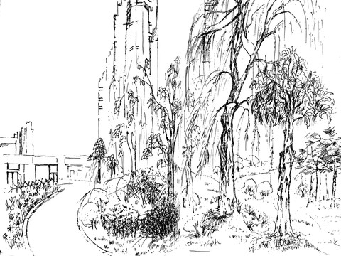 線描樹(shù)風(fēng)景速寫(xiě)