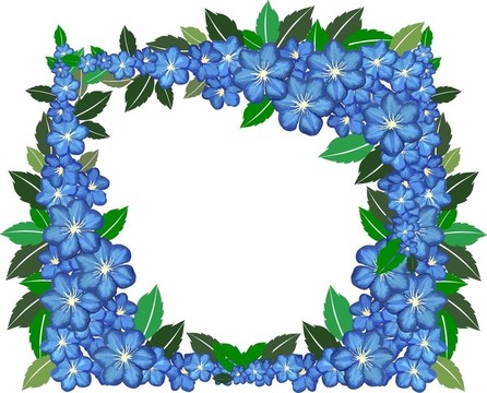藍(lán)色的花框