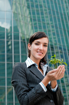 企業(yè)家與植物