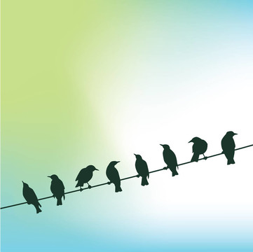 電線上的鳥