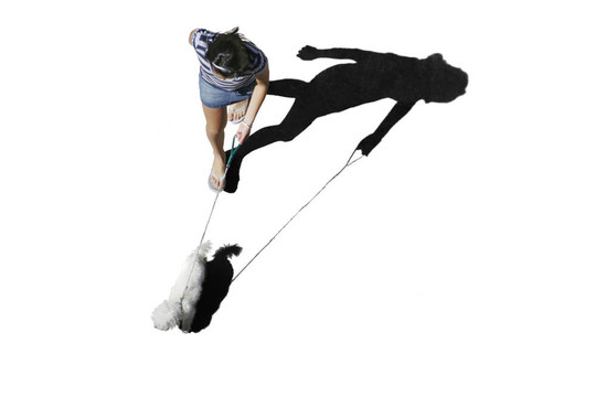 女人與狗