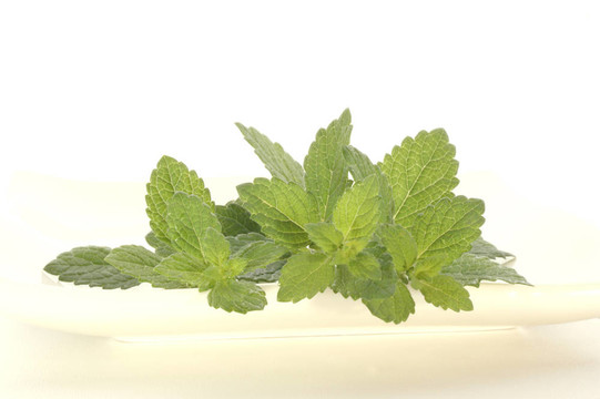 檸檬香油完美的香料在每一個(gè)廚房