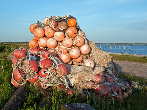 釣魚網(wǎng)