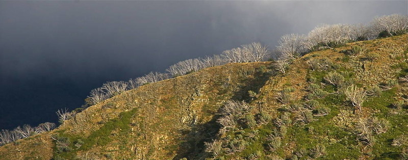 高山山脊線2