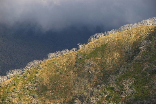 高山山脊線1