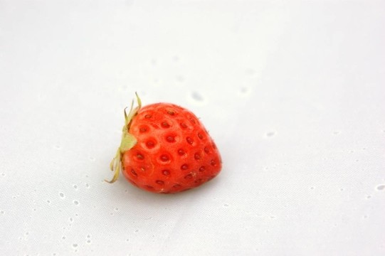 草莓