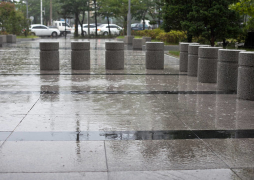 雨
