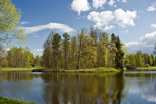 美丽的池塘与春天的树木