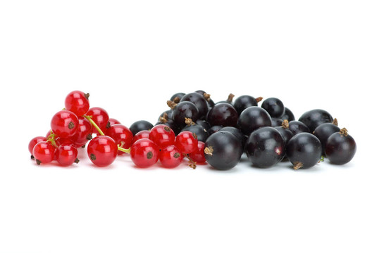一些黑加侖和紅醋栗漿果