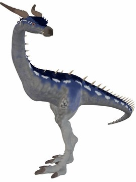 夢(mèng)幻龍