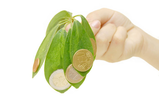 雌手拿著樹葉和硬幣