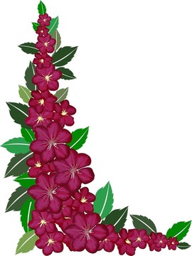 紫色的花框