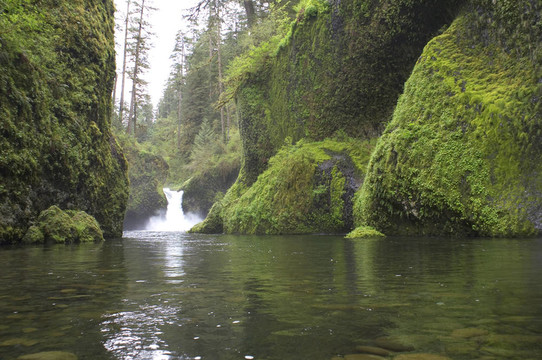 沖Bowl Falls