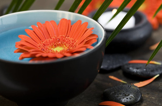 SPA的概念