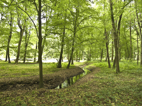 在公園里散步