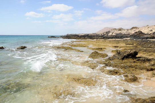 巖石的海岸線在加那利群島的富埃特文圖拉島島；西班牙