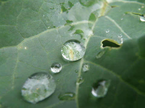 水滴