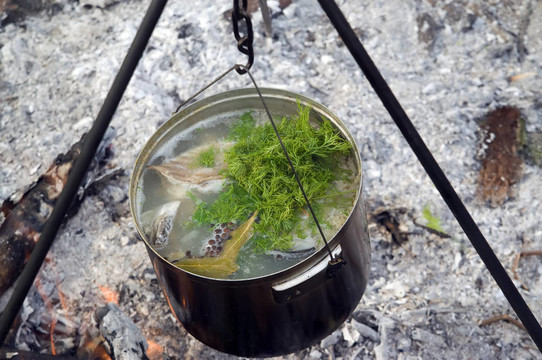 烹飪鍋中的魚湯
