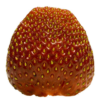 新鮮分離的Strawberry