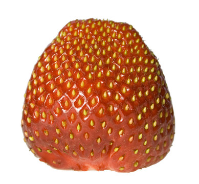 新鮮分離的Strawberry