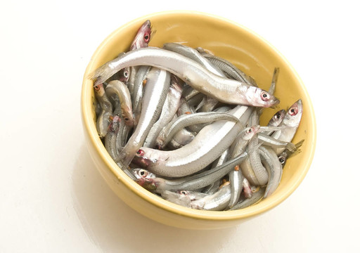 新鮮的魚