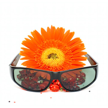 花和太陽鏡