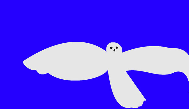 這只鳥