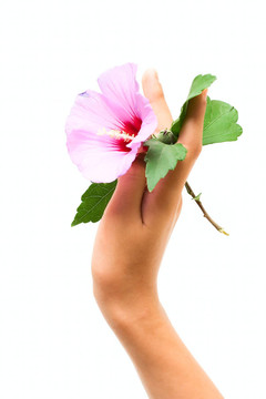人類手上的花