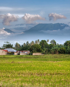 山景