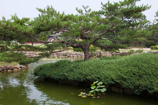 湖