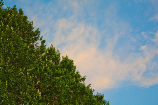 夏日的天空