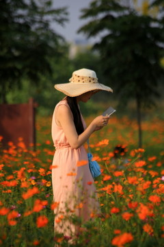 花海美女照