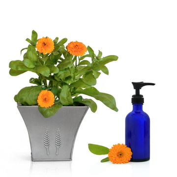 Calendula Flowers和護(hù)手霜