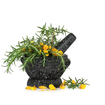 迷迭香和Gorse Flowers