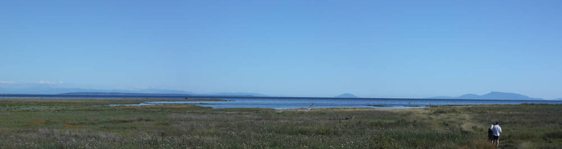 全景