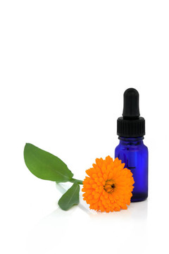 Calendula Flowers和本質(zhì)