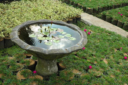 熱帶花園